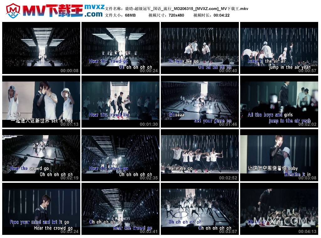 鹿晗-超级冠军_国语_流行_MD206315